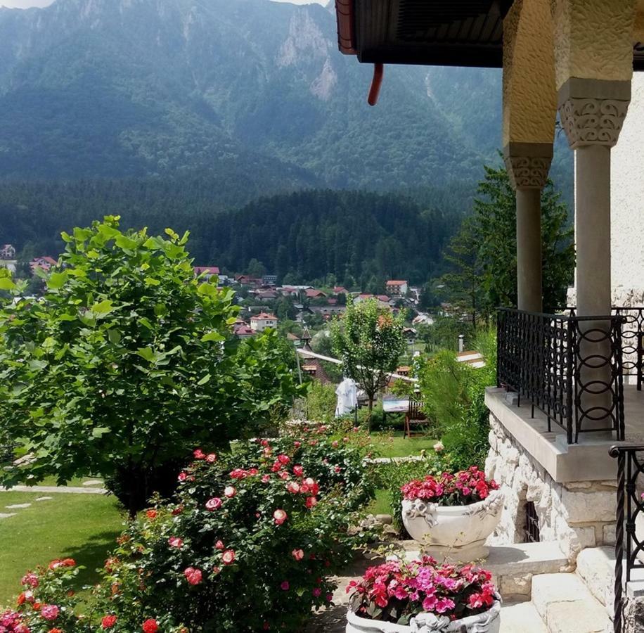 Buşteni 维拉莱奥尼达旅馆酒店 外观 照片